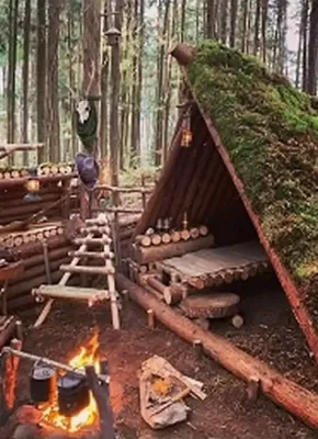 Cabane type A Frame